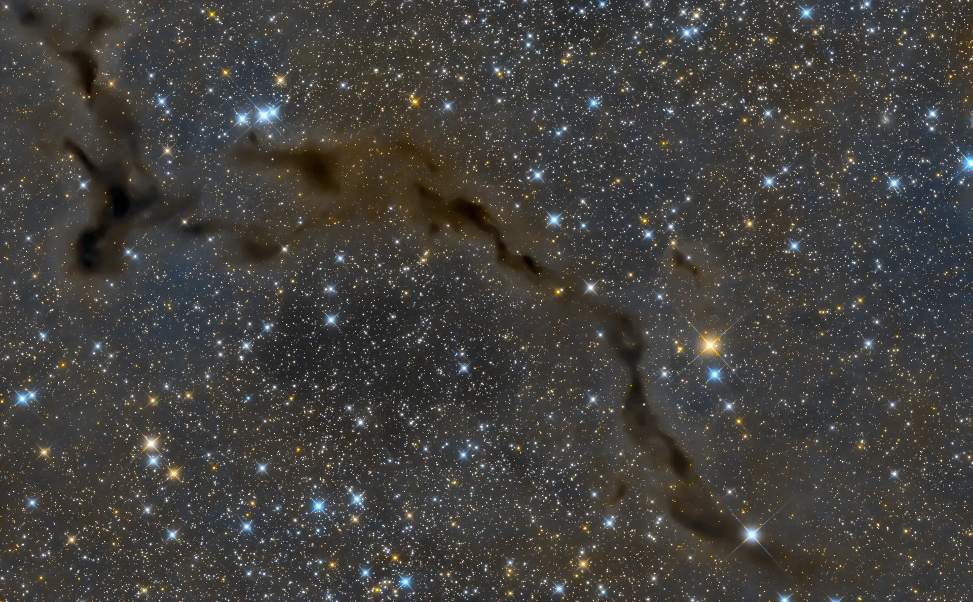 B 150 Seahorse Nebula