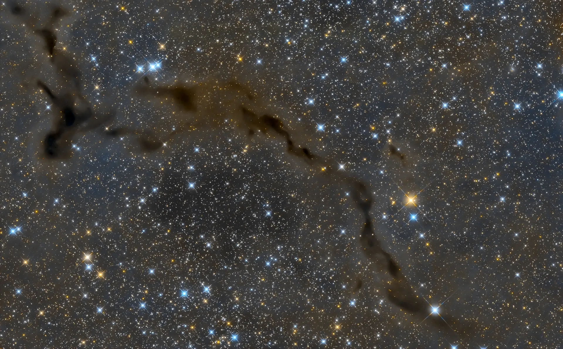 B 150 Seahorse Nebula