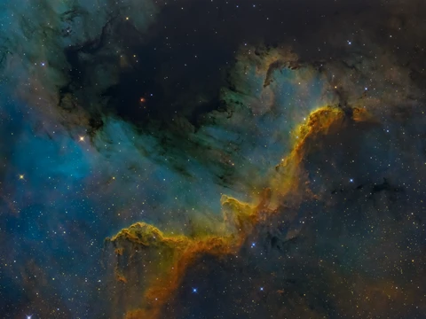 Cygnus wall