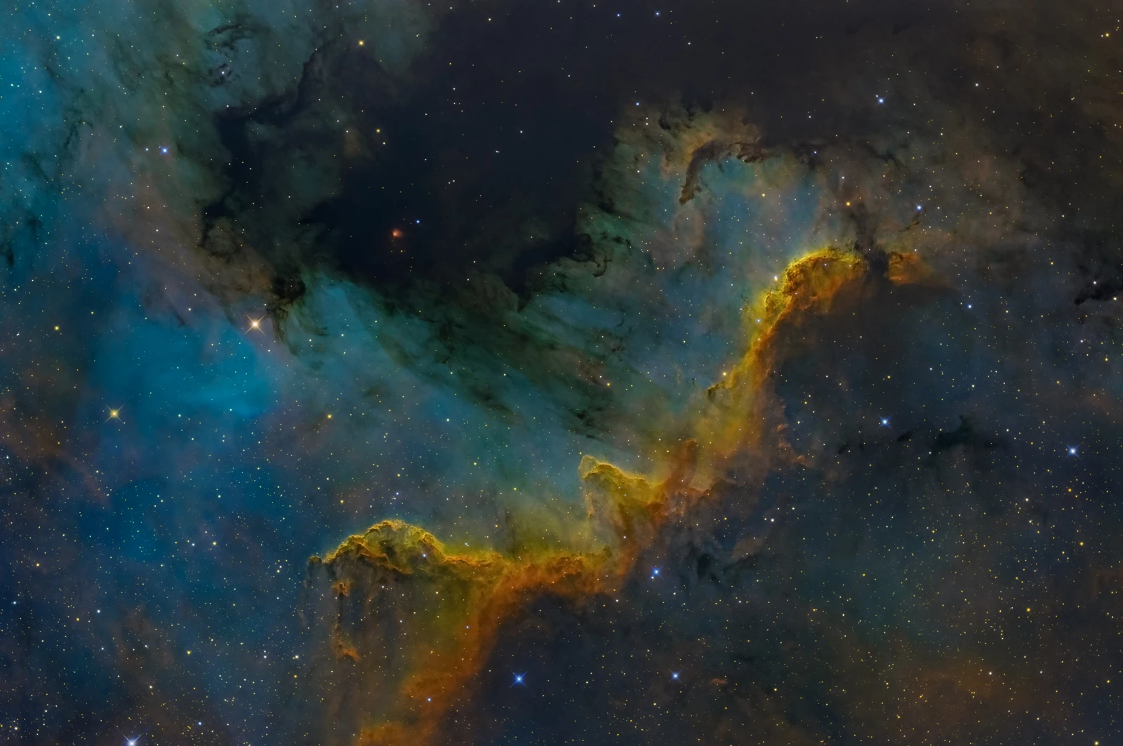 Cygnus wall