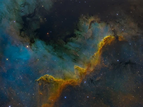 Cygnus wall
