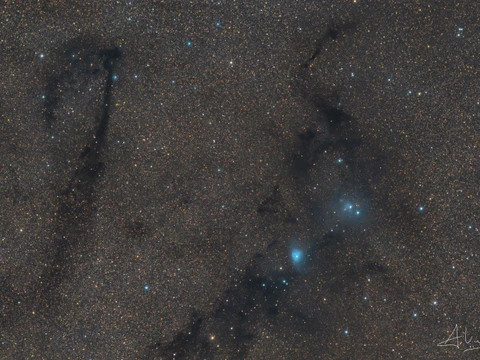 LDN 772 The Lock Ness Nebula