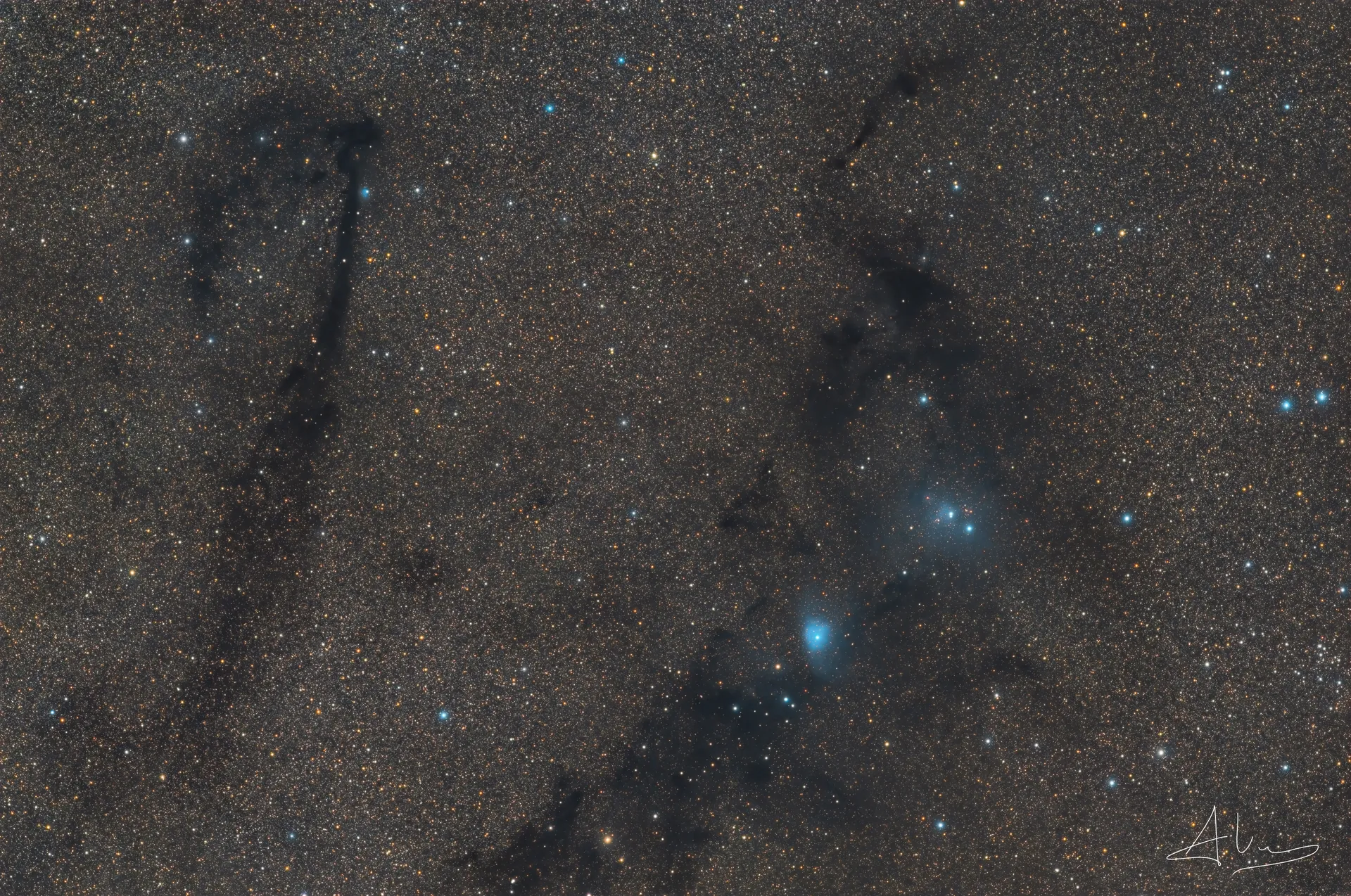 LDN 772 The Lock Ness Nebula
