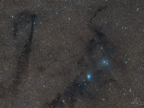 LDN 772 The Lock Ness Nebula