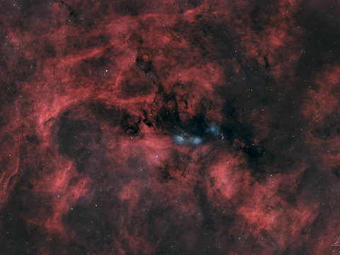 NGC 6914