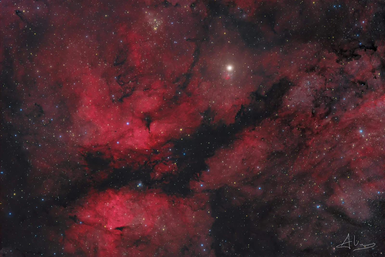 IC 1318 & Sadr region