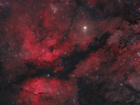 IC 1318 & Sadr region