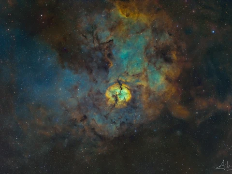 Sh-2 124 The Hidden Nebula