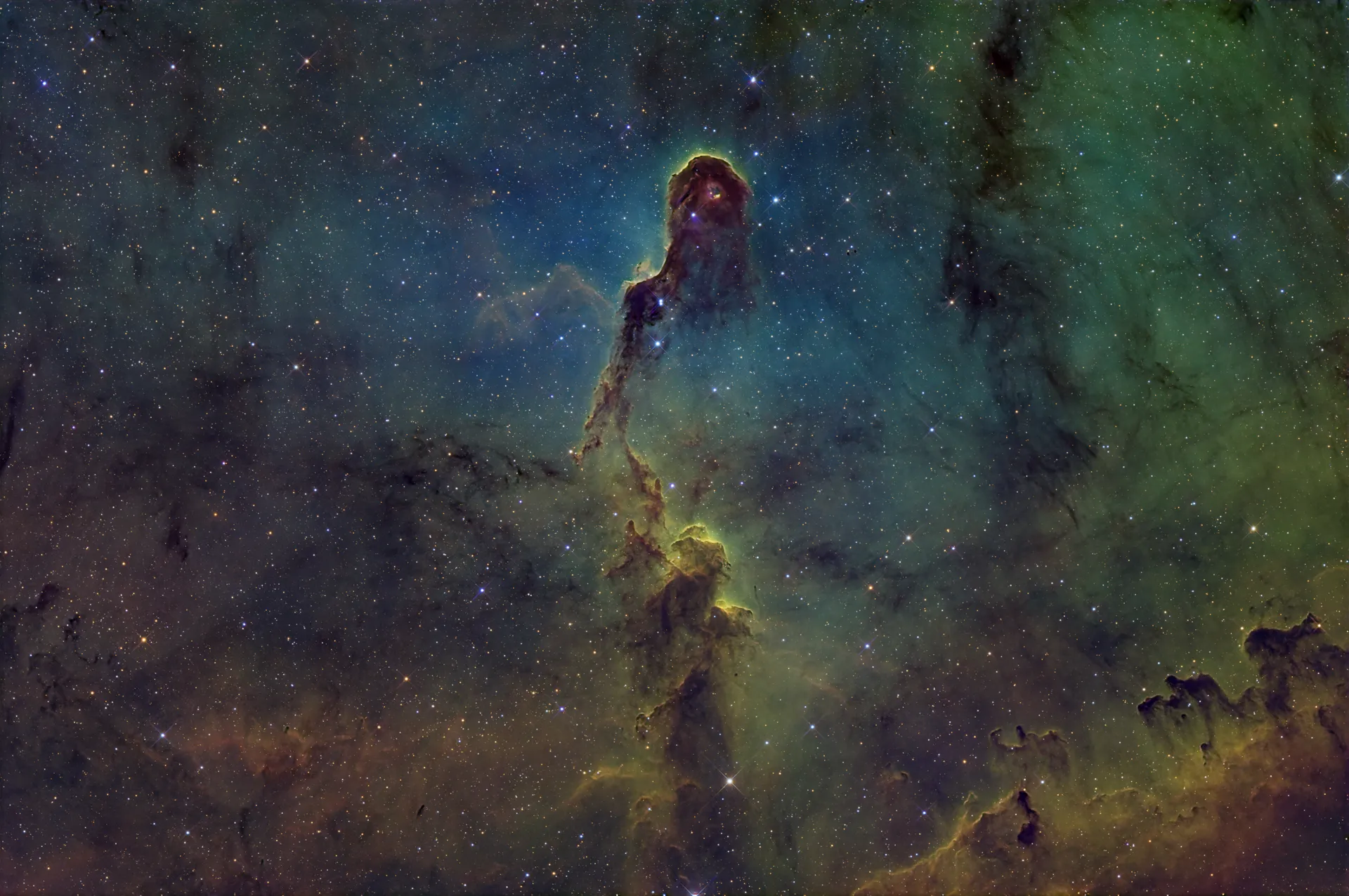 VDB142 Elephant Trunk Nebula