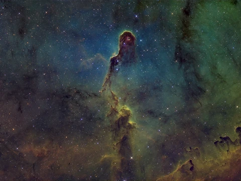 VDB142 Elephant Trunk Nebula