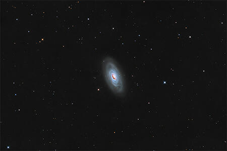M64