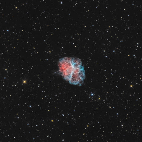 Supernovae