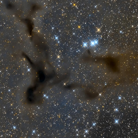 Dark Nebulae
